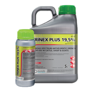 Trinex Plus 19,5%