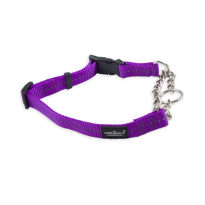 Dog's Life Reflective Martingale Chain Dog Collar - Purple