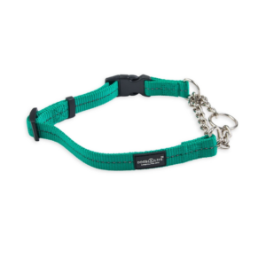 Dog's Life Reflective Martingale Chain Dog Collar - Ultramarine Green
