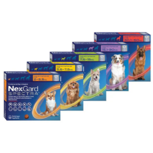 NexGard Spectra Single Pack