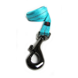 Dog's Life Reflective Supersoft Webbing Leash - Turquoise