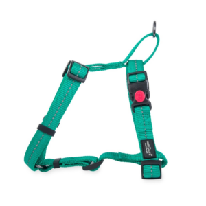 Dog's Life Reflective Supersoft Webbing H Harness - Ultra Marine Green