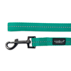 Dog's Life Reflective Supersoft Webbing Leash - Ultramarine Green