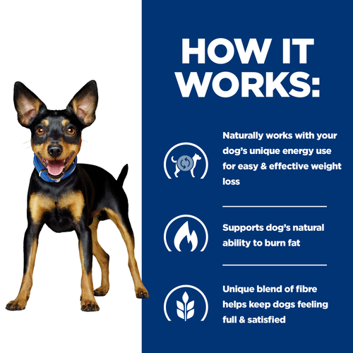 Hill's Prescription Diet Metabolic Mini Dog Food - Image 4