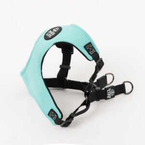 Dog's Life X Dog Neoprene Soft Harness (Turquoise)