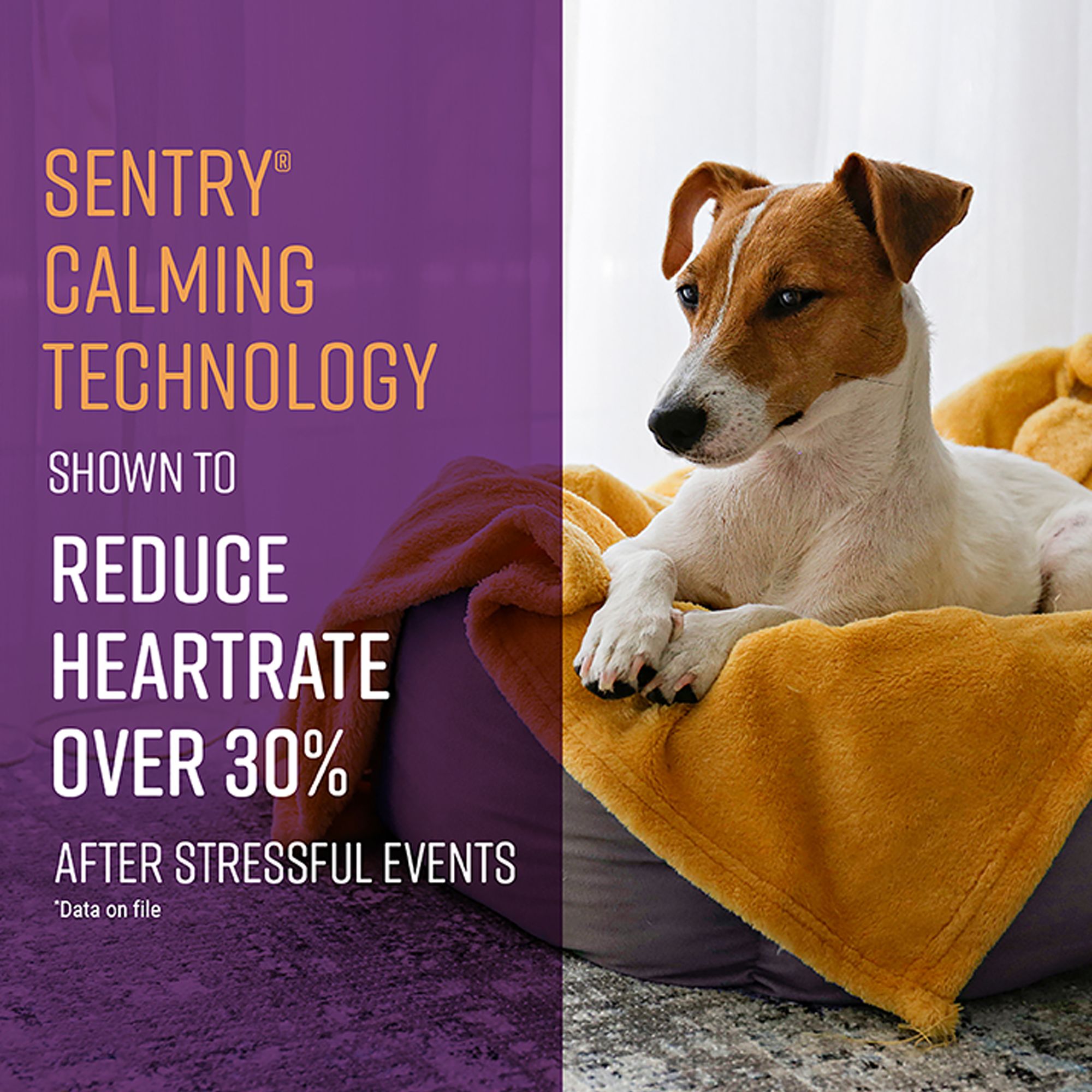 Sentry Portable Calming Diffuser for Dogs - Image 4
